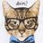 whatsupmeow's profile image