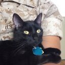 mikavocado's profile picture. 