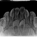 AnibalRodriguez's profile picture. 