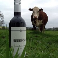 Robert Wilson (@romanyherefords) 's Twitter Profile Photo Robert Wilson (@romanyherefords) 's Twitter Profile Photo