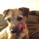 norma prentice - @Jogger345 - Twitter