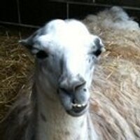 Jonny Borrowdale (@jonnybdale) 's Twitter Profile