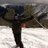 VictorCaro24's profile image