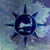 TRC Music Festival Profile