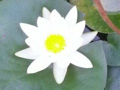 mapmaking1004's profile picture. 준비