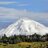 MarioArguelles6's profile image