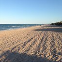 dsanzse's profile picture. 