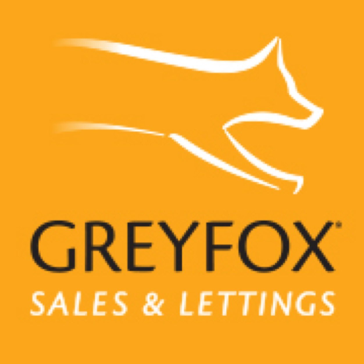 GreyfoxEstates Profile Picture