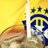 RefBrazil's profile image