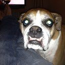 fortytotheface Profile Picture