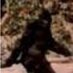 John Tobias (@jtobias49) Twitter profile photo John Tobias (@jtobias49) Twitter profile photo