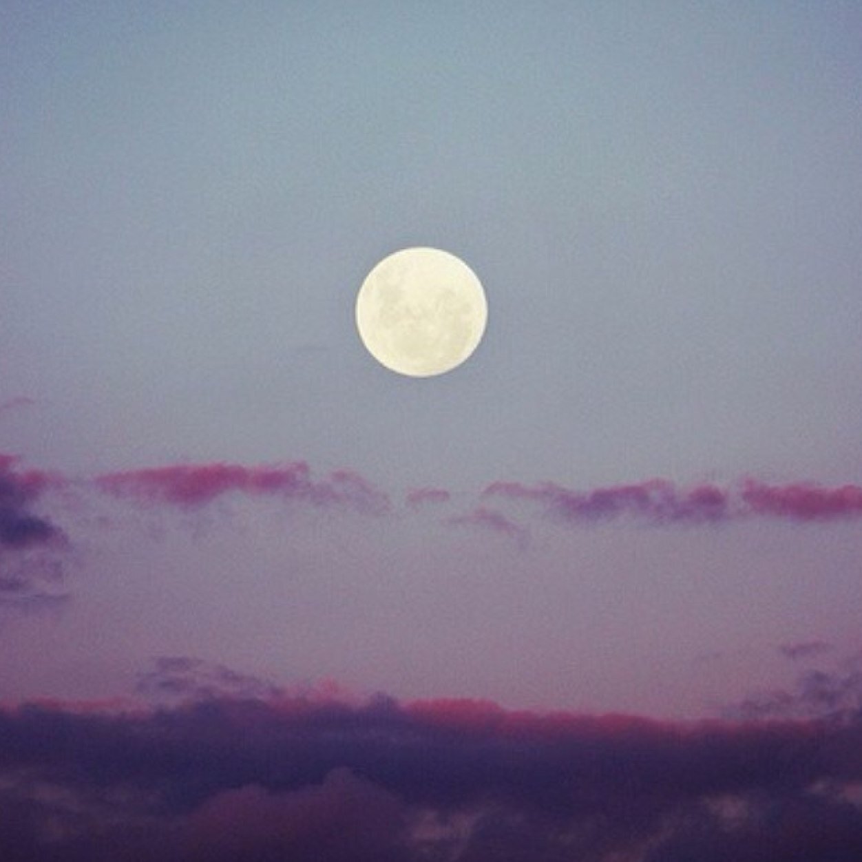 TurkiOtb511's profile picture. فولو باك :)