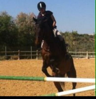 nunca podre vivir sin caballos  ALGUNO en ESPECIAL si FOGOSO