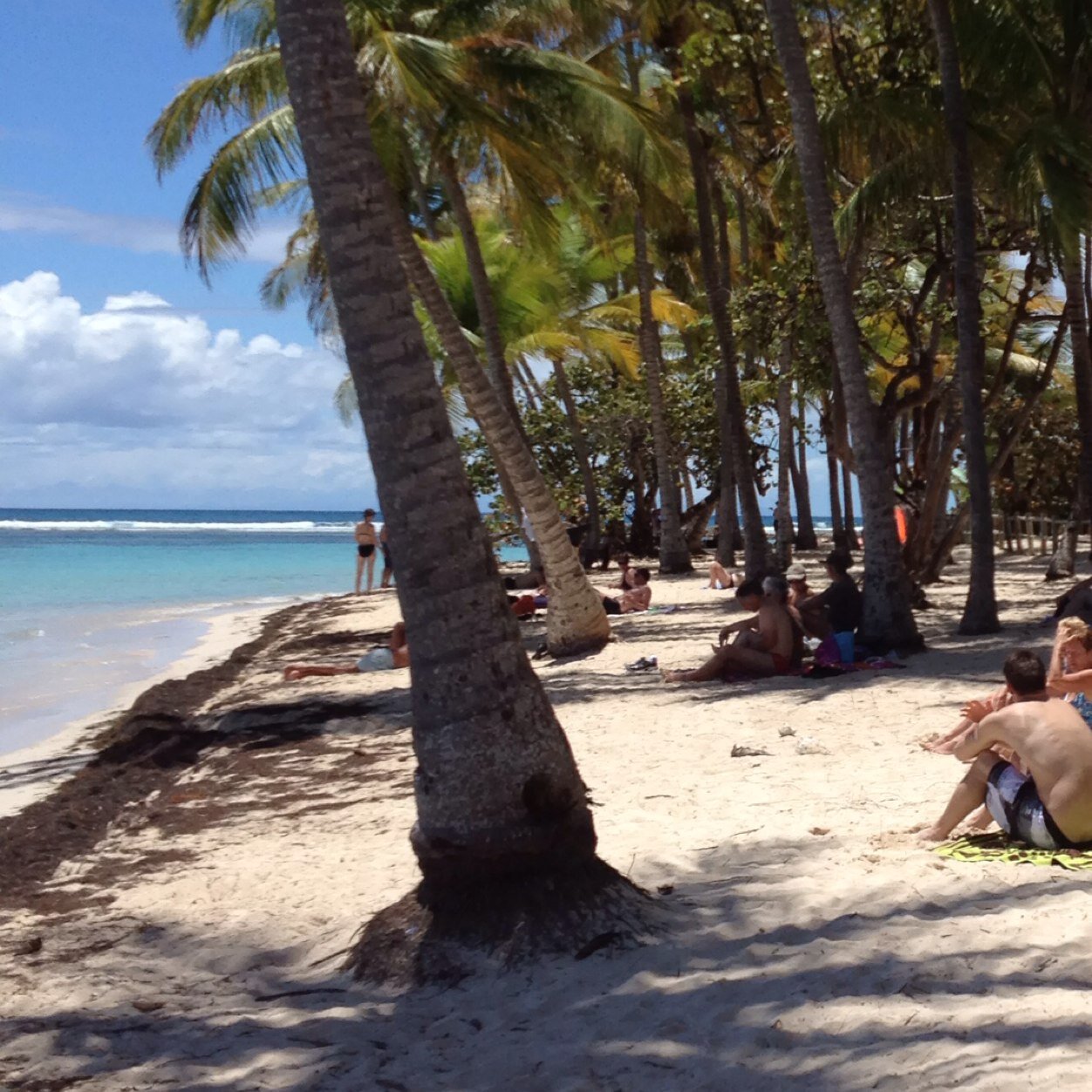 fa_alba's profile picture. 