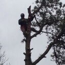 david consalvi - @djconsalvi - Twitter