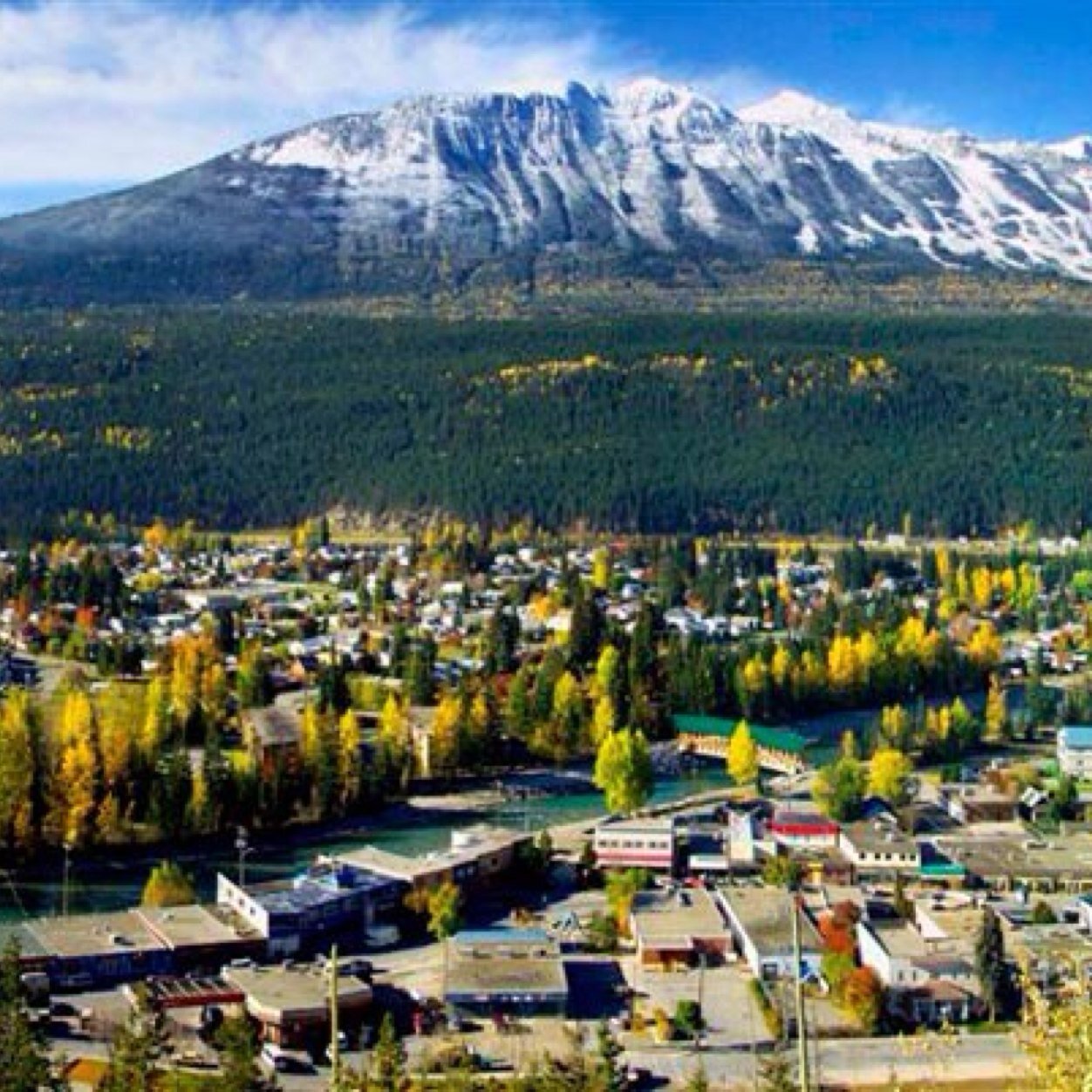 goldenfessions's profile picture. Send us your #goldenfessions!