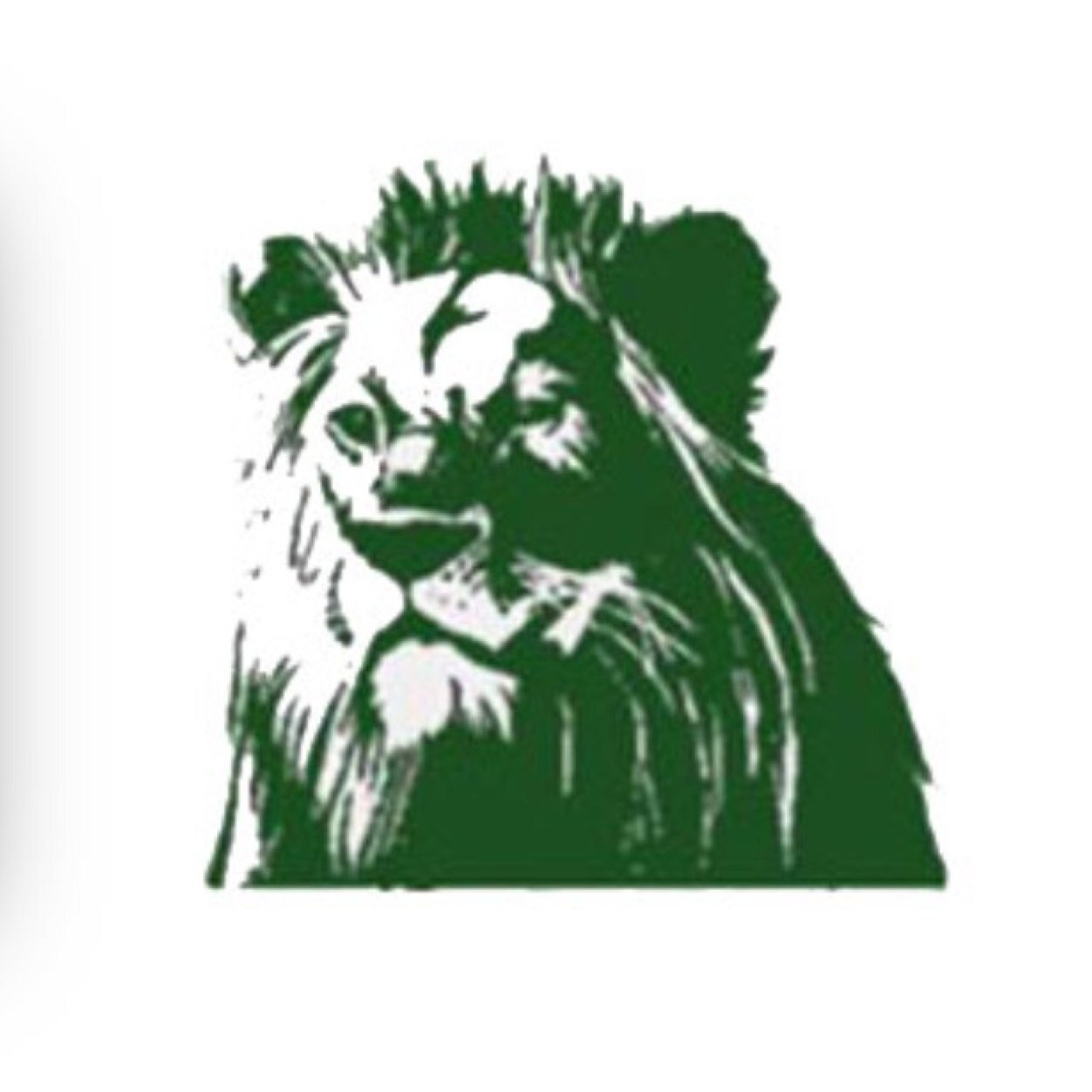 Borah High School Soccer
