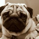 malinda long - @long_vballmo - Twitter