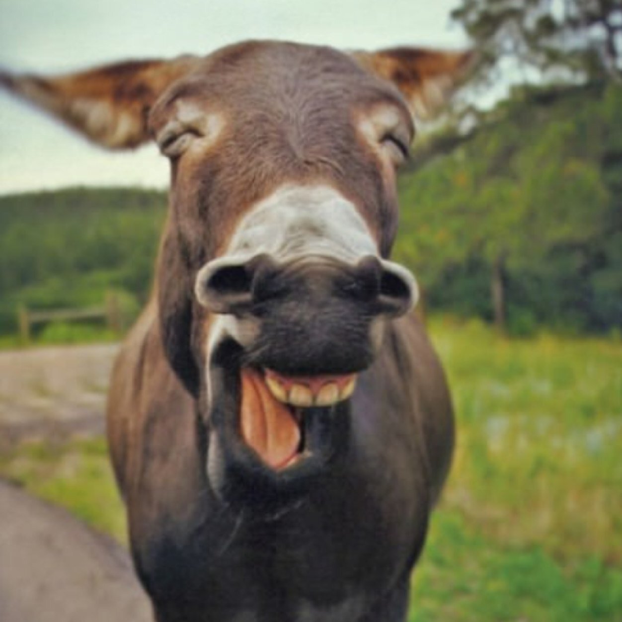 If you are a serious person, stay away from me ;)
