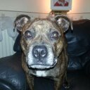 Tony Millar - @RebelRider81 - Twitter