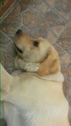 marsalvi's profile picture. 