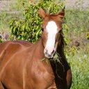 Dianna Wright - @GlamaWright - Twitter