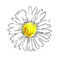 Tina Martin (@daisywings2) 's Twitter Profile