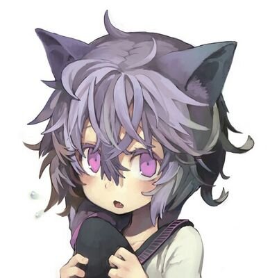　部屋の中でいろいろなことしてるですよー　　最近はドラゴンラージャを読み直してるですー(´･ω･｀)