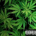 Leon Tyler - @LeonTyler777 - Twitter