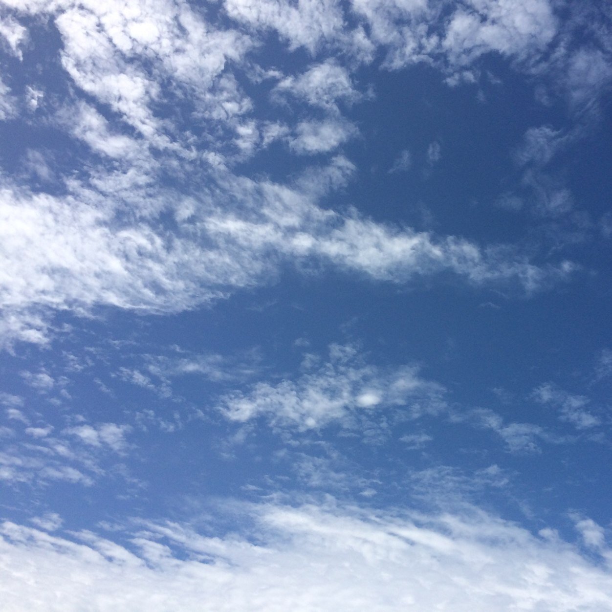 nellyoga1's profile picture. 