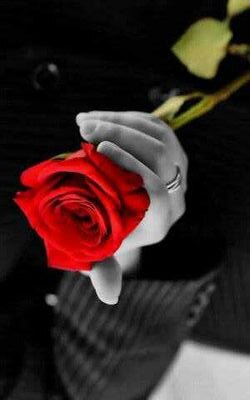 99f0f3c98759493's profile picture. 