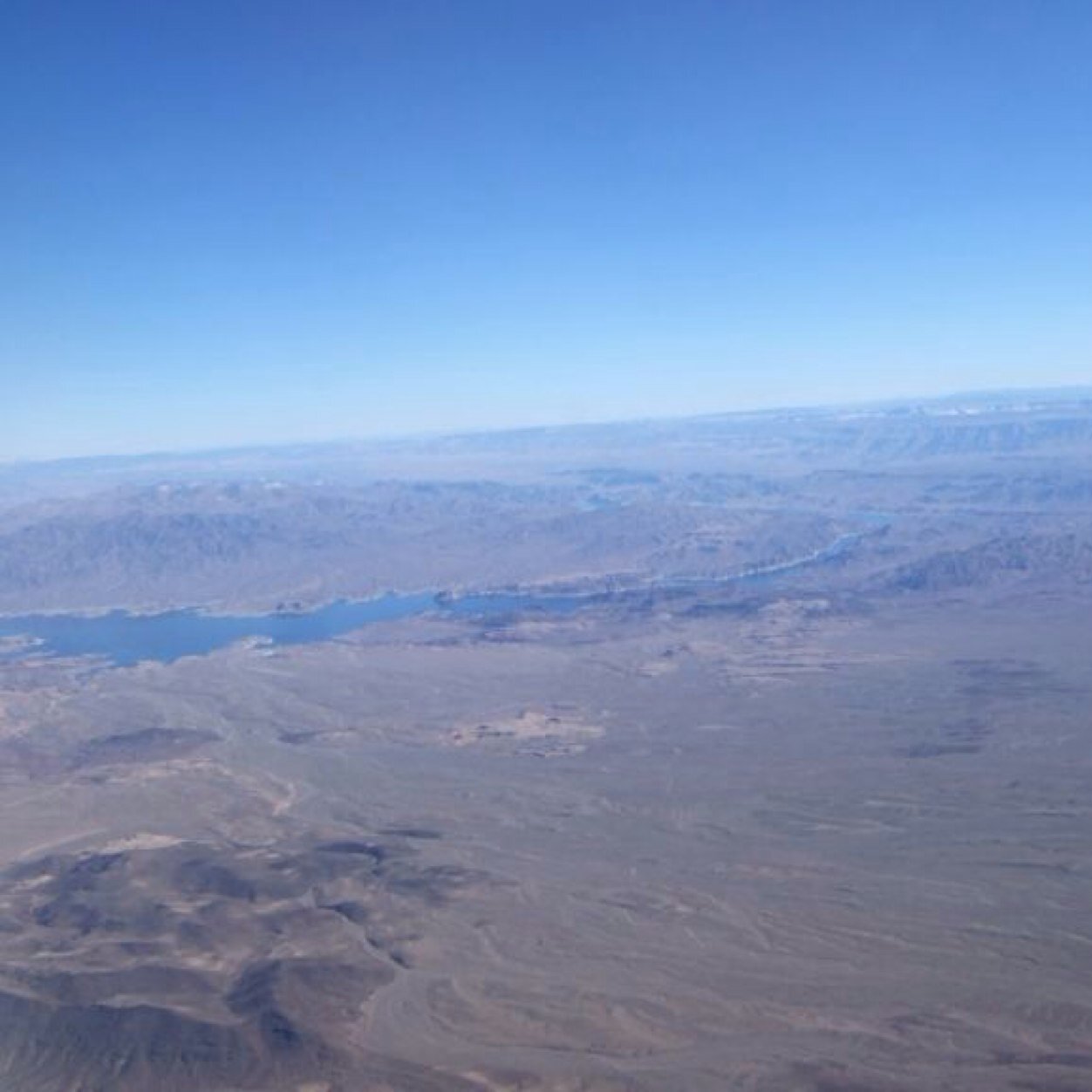 steelrings333's profile picture. 