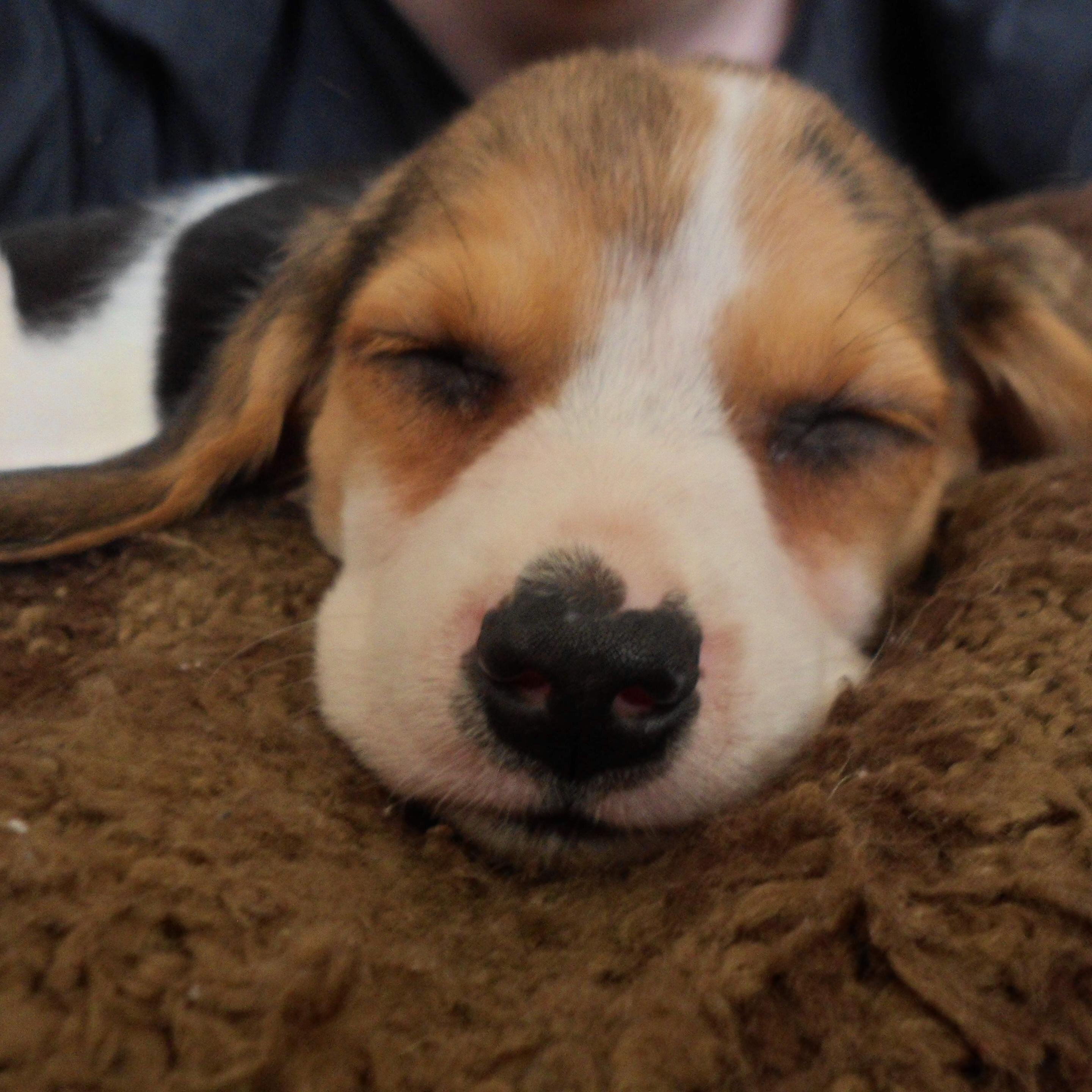 SusanDocherty5's profile picture. 