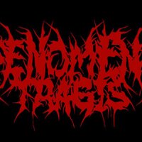 FENOMENA TRAGIS (@fenomenatragis) 's Twitter Profile