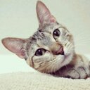 LinlinLynn - @LinlinMa21 - Twitter