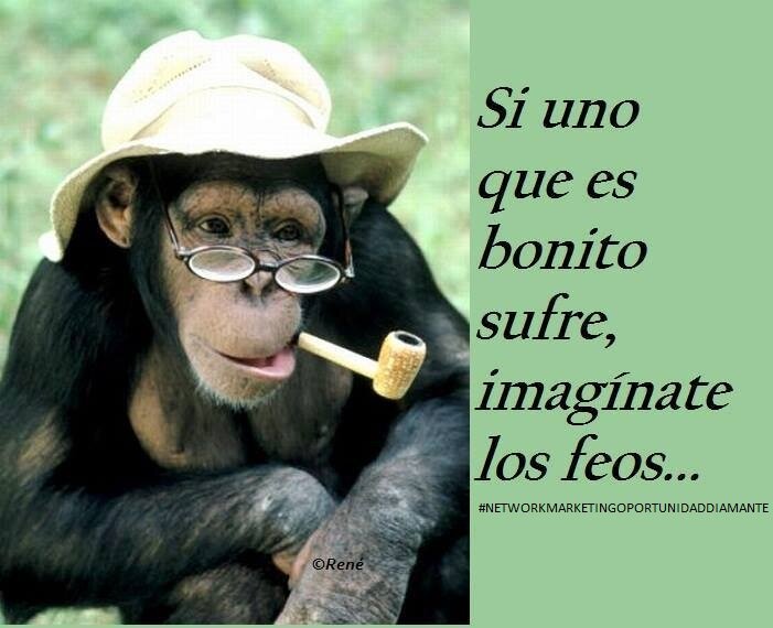 network_0's profile picture. UNA GRAN SOÑADORA...Y MUJER LUCHONA PARA LOGRAR TODAS SUS METAS...Y CON UNA GRAN OPORTUNIDAD PARA EL CONSUMIDOR...QUE QUIERA QUE SU ECONOMIA AVANCE CON EL SIGLO