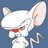 No_PiensoIgual's profile image