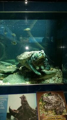 rbnsanchez1's profile picture. 