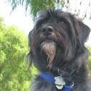 under_pants's profile picture. i do like sugar, tender on the brittle, and sticky when spun