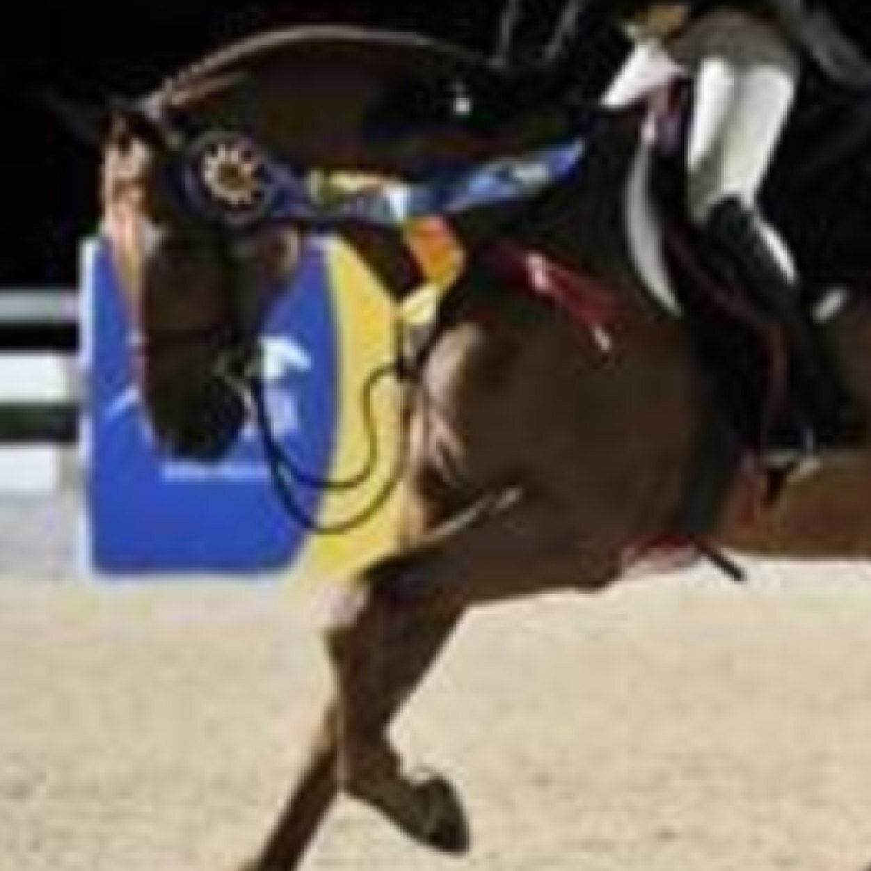 Life in the A/AA circuit of the equestrian world.