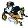 TrueMIZTigers's profile picture. #MizzouMade but not #MizzouPaid