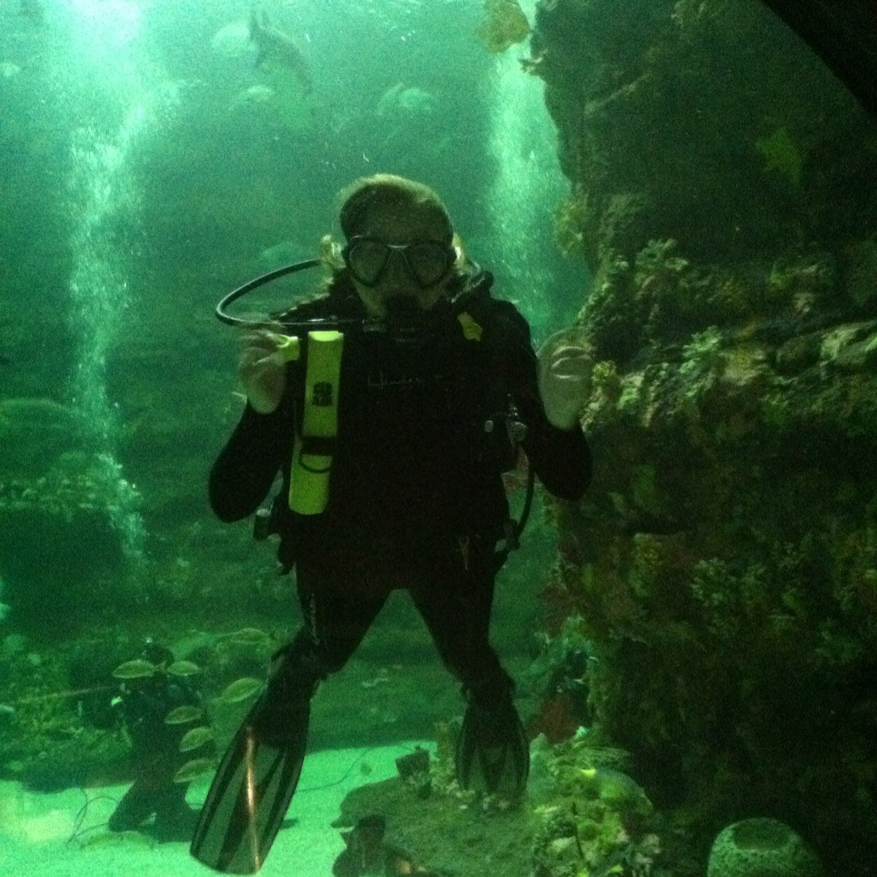 #gopack #beachlover #scubadiver