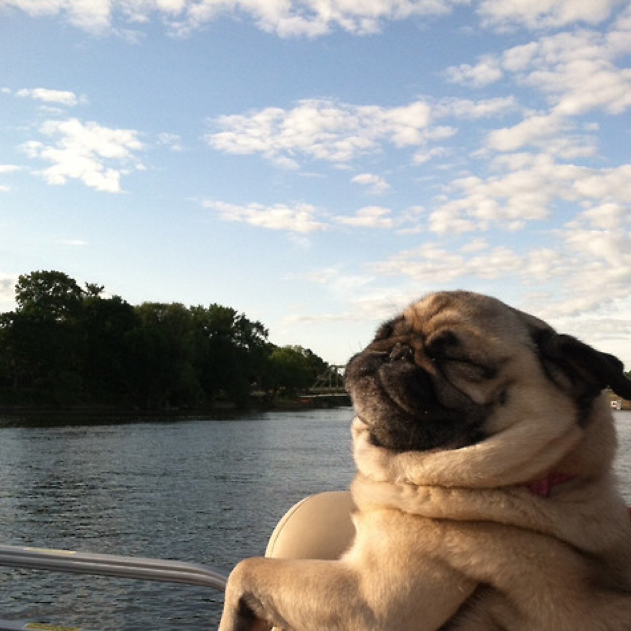 yungmimsy's profile picture. 