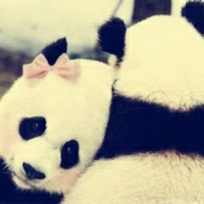 Hallo......