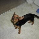 Mark Storm - @rocketdog382 - Twitter