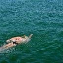 mywil's profile picture. 'Nothing great is easy'- Captain Matthew Webb