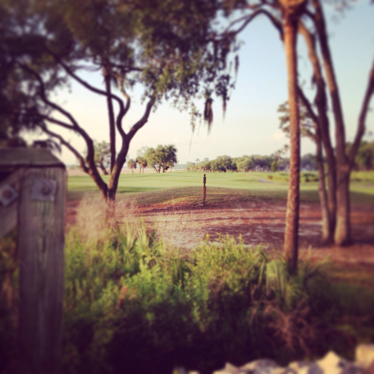 DylanThomasPort's profile picture. 