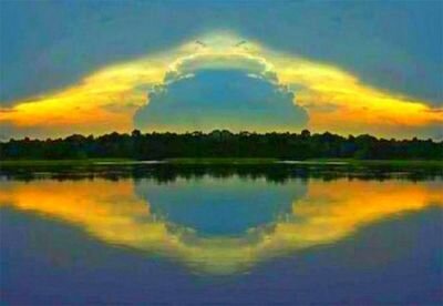 TAIS9577's profile picture. I love beach, and swiming, I,m teacher and mother the dogs. I love animals.