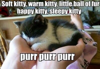 fangurlly's profile picture. 