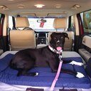 SpoiledAl2003's profile picture. Be Happy, Be yourself and Enjoy Life To The Fullest Life Is To Short.